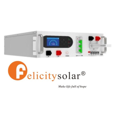 Felicity Moduł kontroler FLH48100UCG1 dla baterii FLH48100UMG1